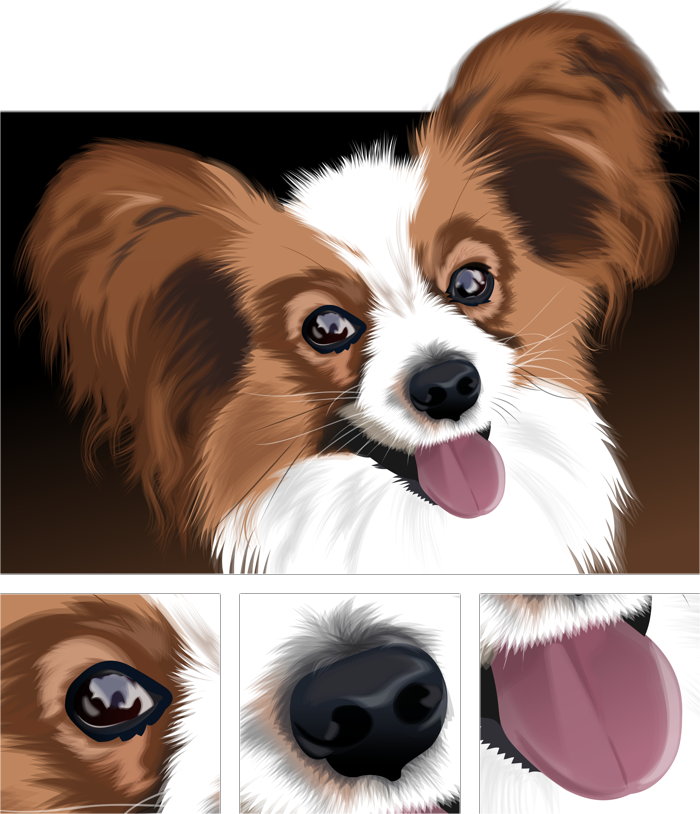 Papillon (vector drawing, dog, breed)