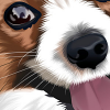 Papillon (vector drawing, dog, breed)