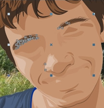 рис. 7.1 Брови и нос